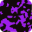 ecaille violet